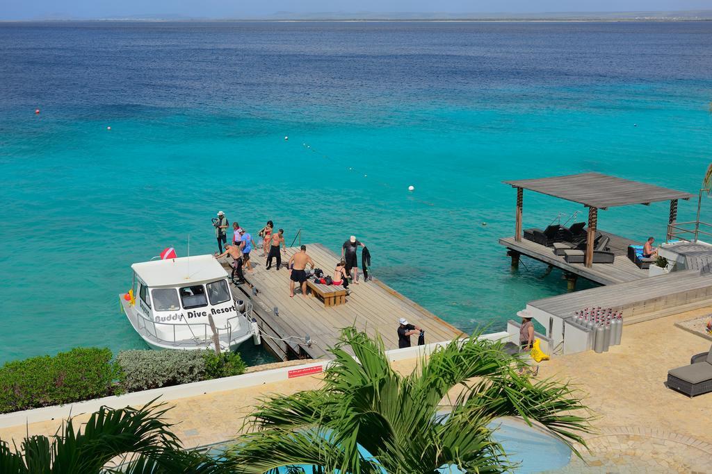 Belmar Oceanfront Apartments Bonaire Esterno foto