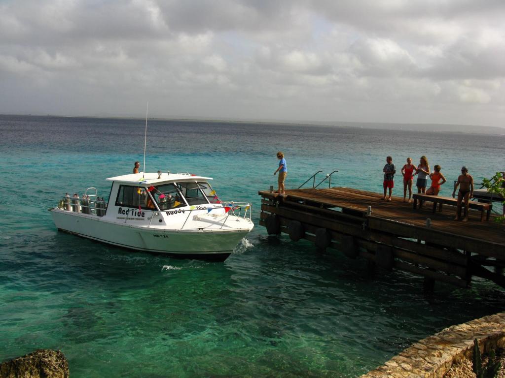 Belmar Oceanfront Apartments Bonaire Esterno foto